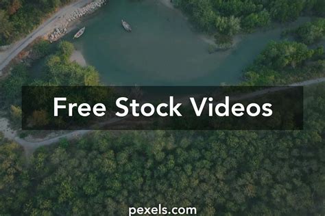 sacxi video|Free Sax Video Stock Video Footage .